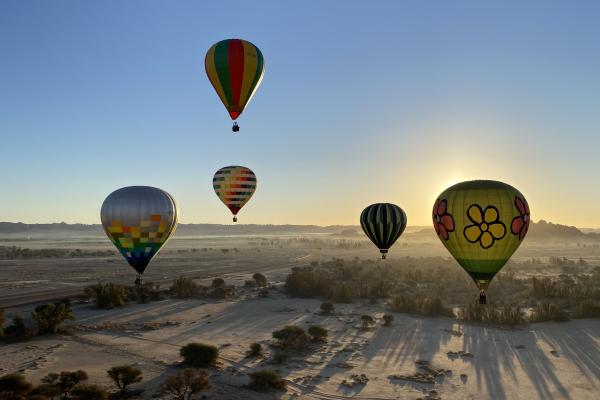 Ballonvaren-met-2-vip-gasten-6.jpeg