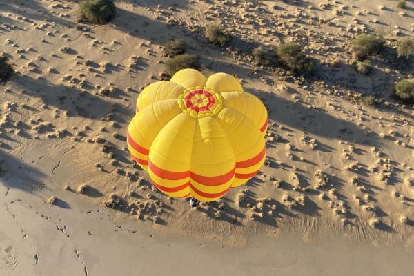 Ballonvaren-met-2-vip-gasten-8.jpeg