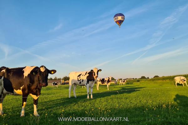 ballonvaart-ommen-8.jpeg