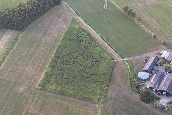 Ballonvaart-Laren-over-Borculo-naar-Haarlo-7.jpg