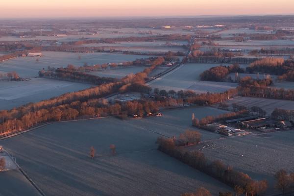 ballonvaren-in-de-winter (11).JPG