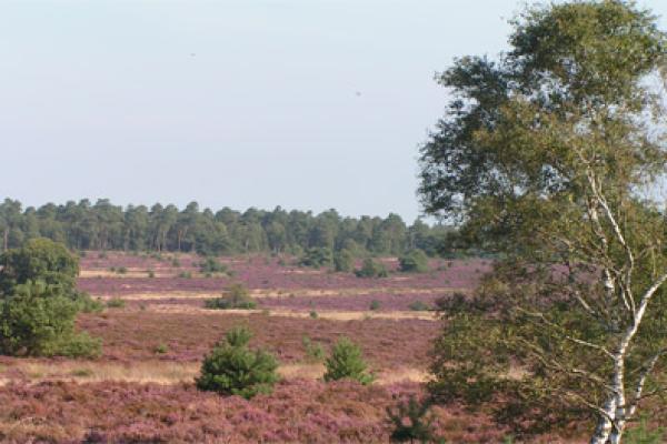 holterberg.jpg